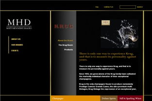 網(wǎng)站不斷發(fā)展新功能,同時也為閣下在業(yè)務(wù)上帶來不少方便,包括全天侯展示商品及服務(wù) 和客人的互動聯(lián)系 節(jié)省工作時間及人手等