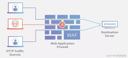 搞安全開發(fā)都是用什么編程語言